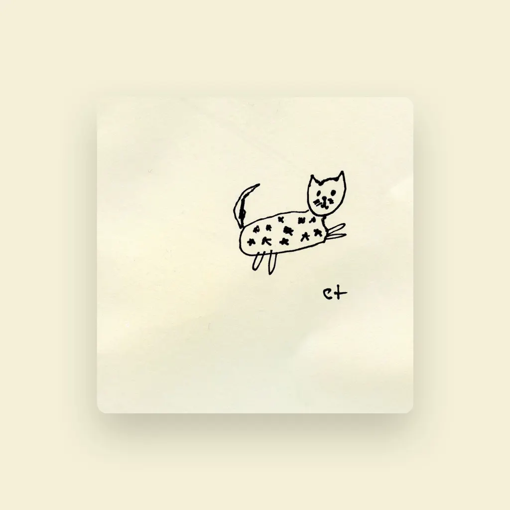 Starry Cat