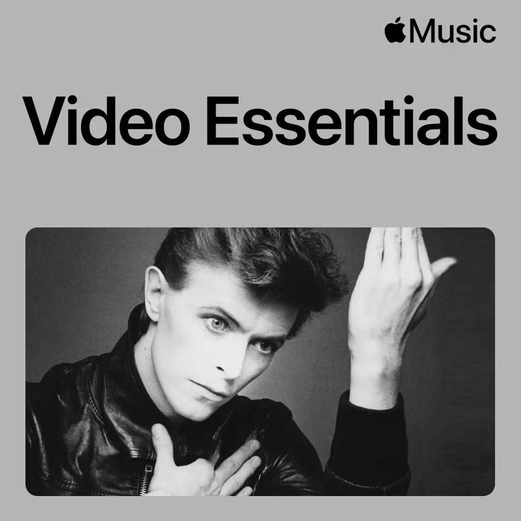 David Bowie Video Essentials