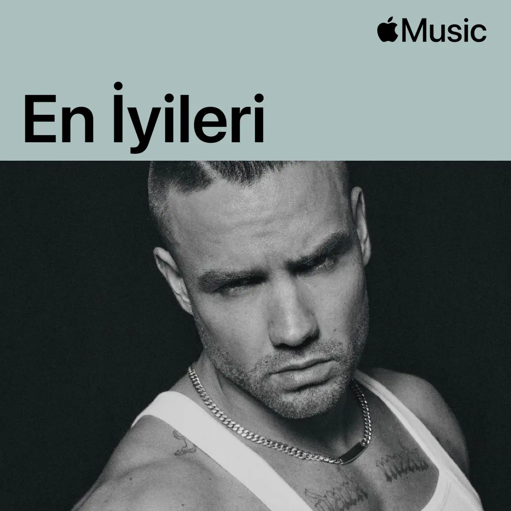 Liam Payne: En İyileri