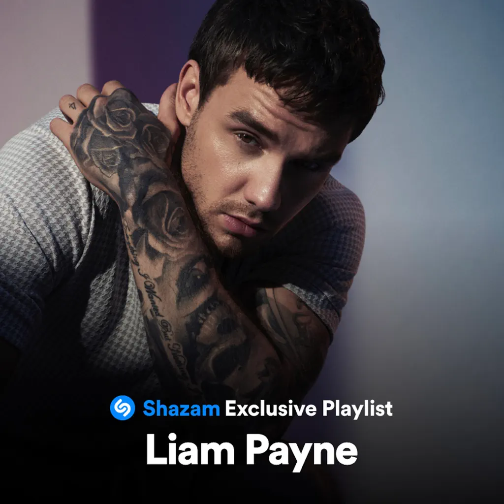 Liam Payne: Özel Liste