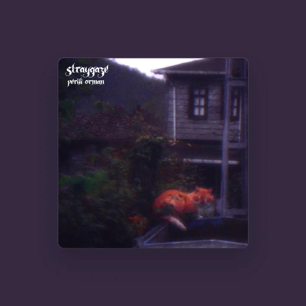 Straygaze