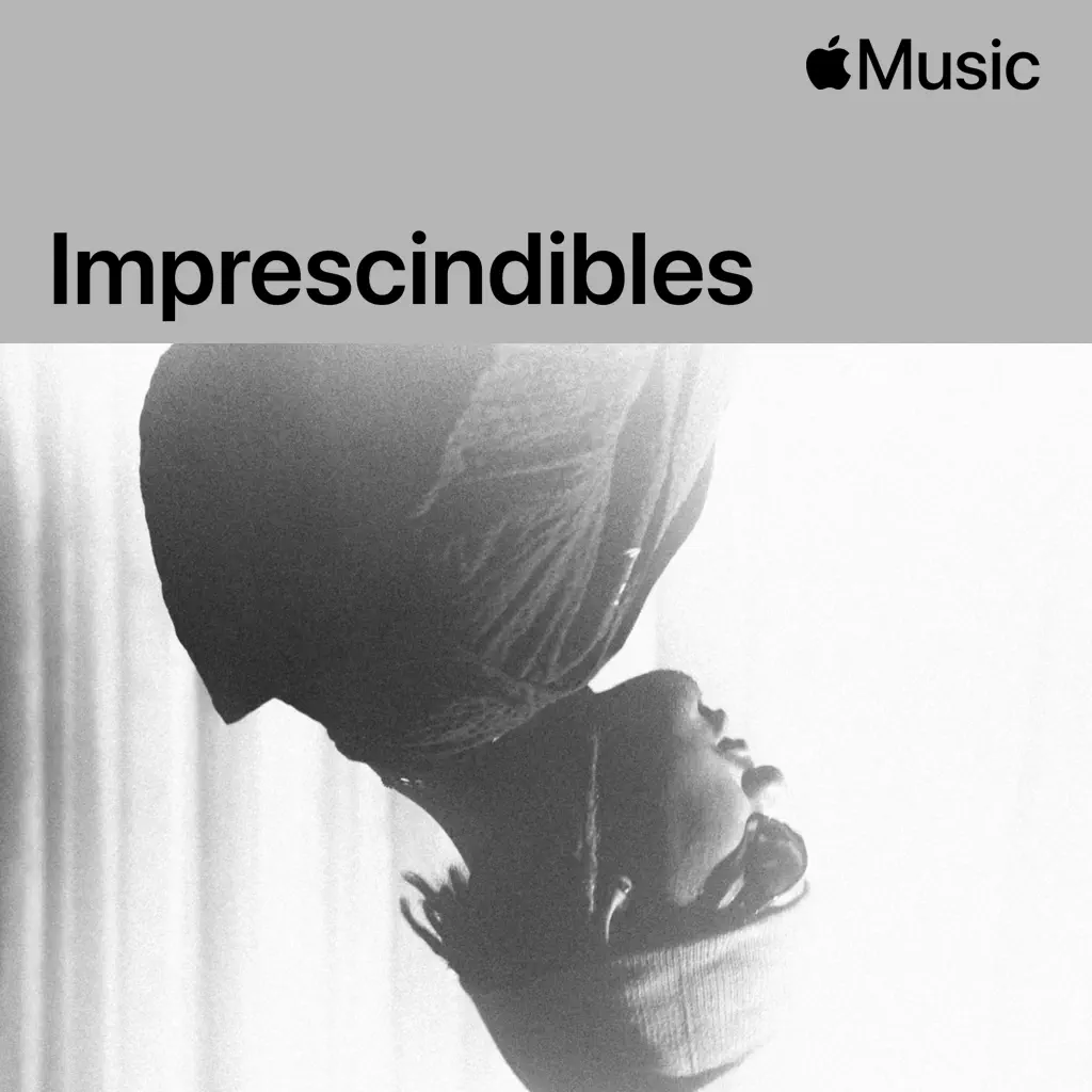 DrefQuila: imprescindibles