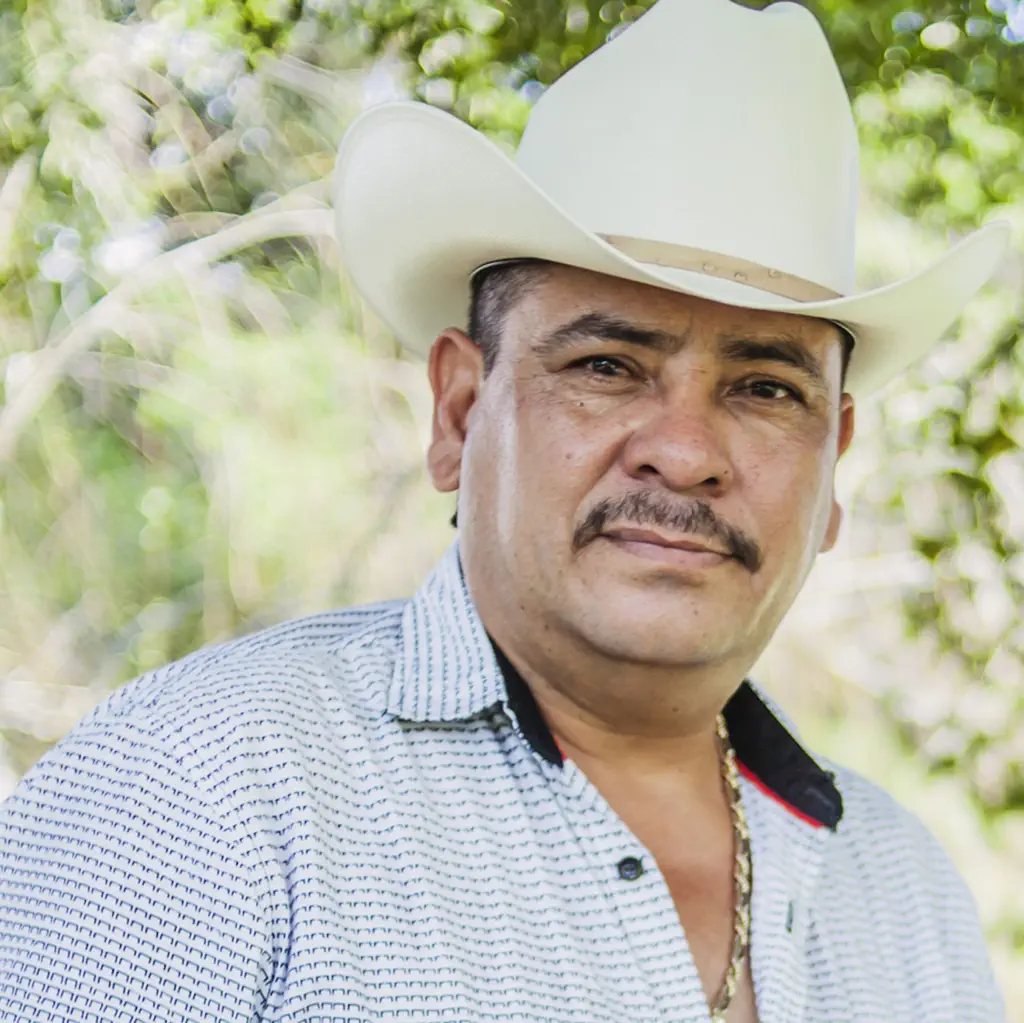 El Tigrillo Palma
