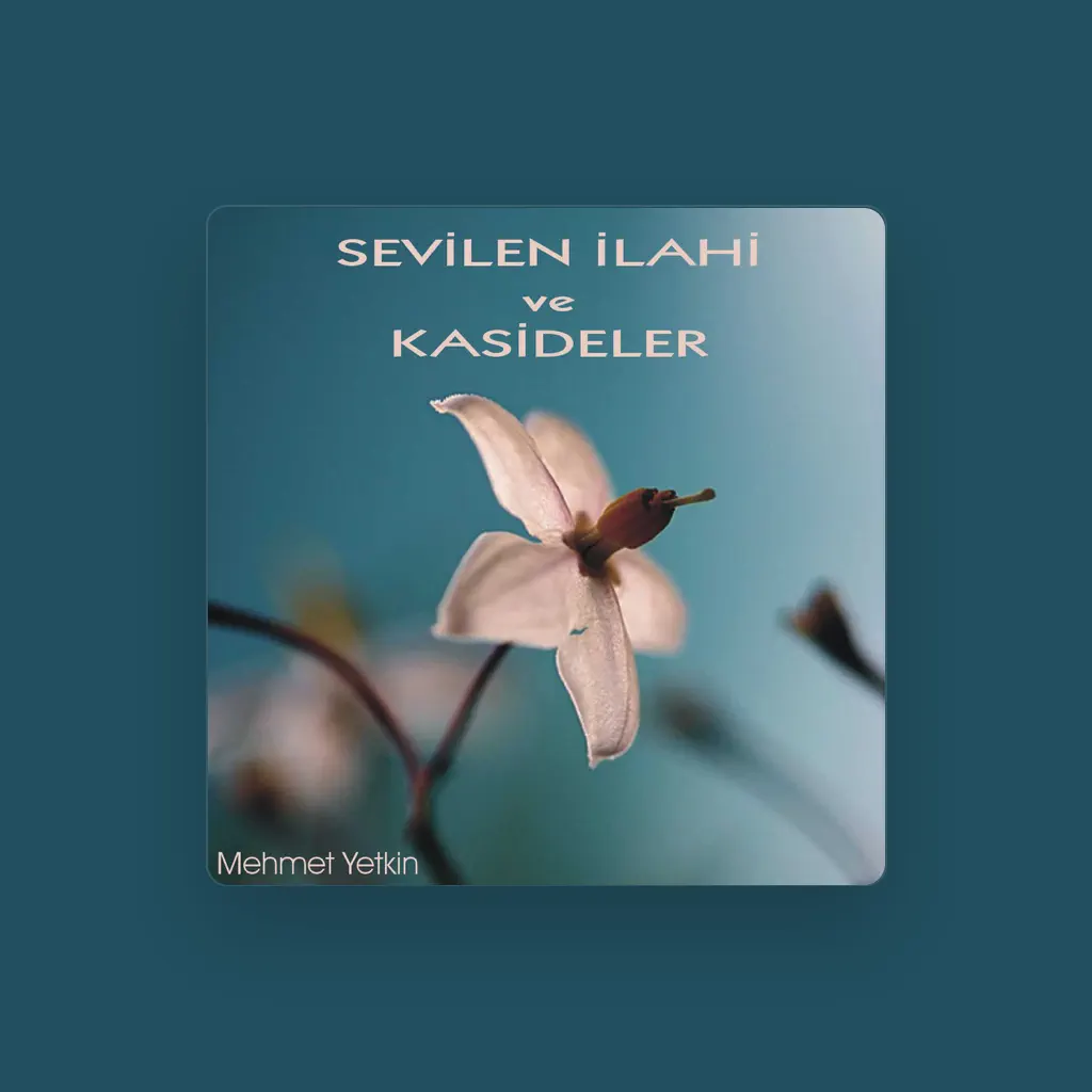 Mehmet Yetkin