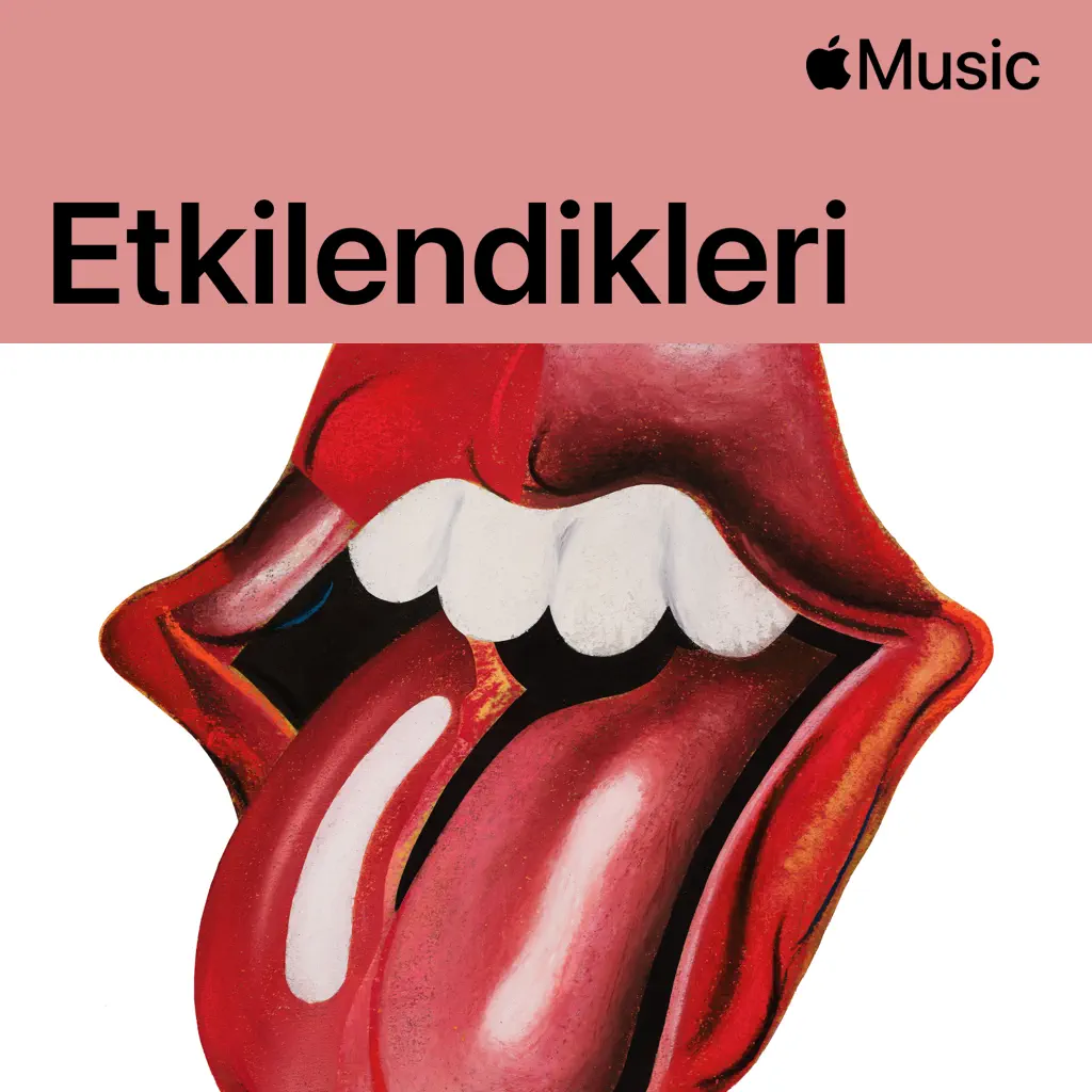 The Rolling Stones: Etkilendikleri