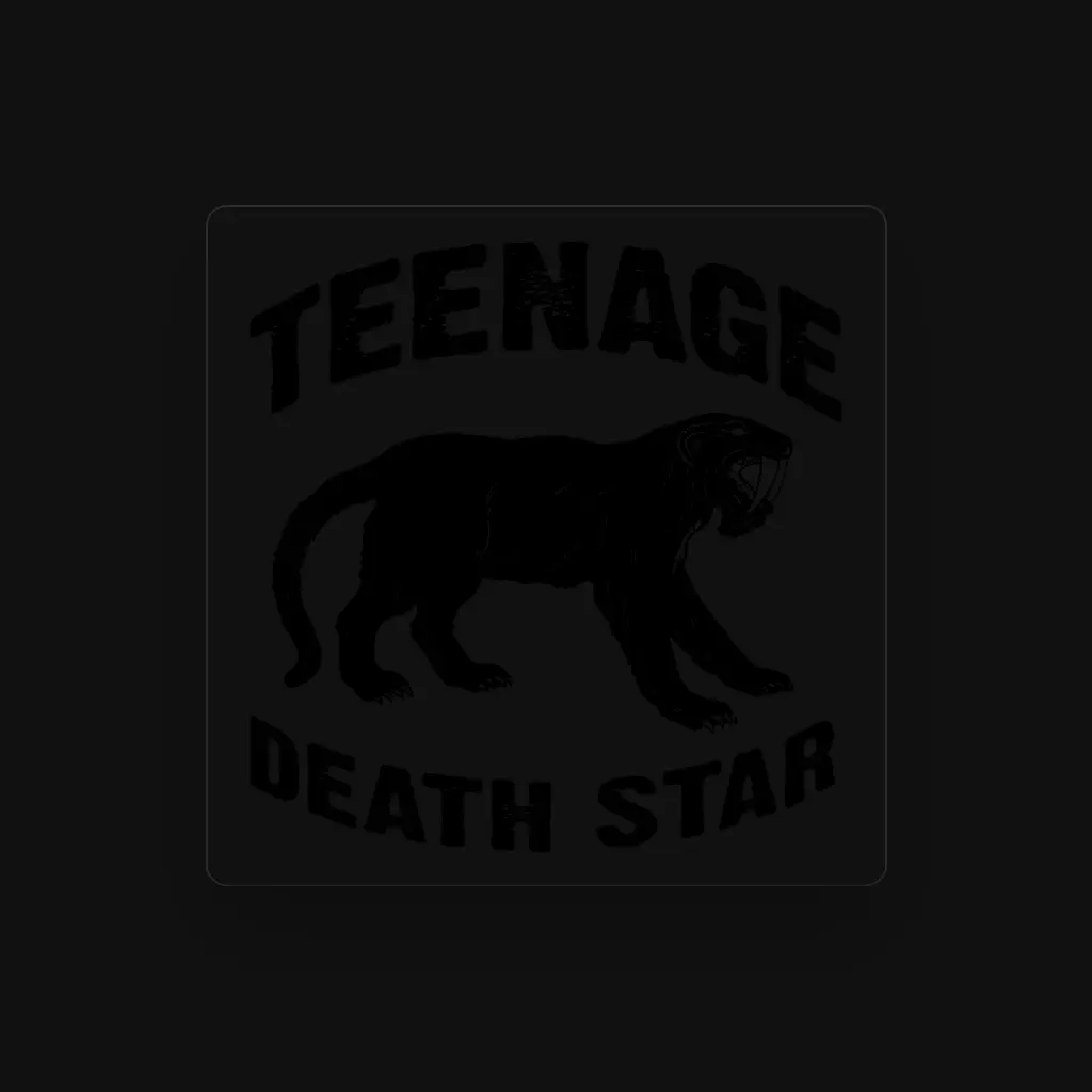 Teenage Death Star