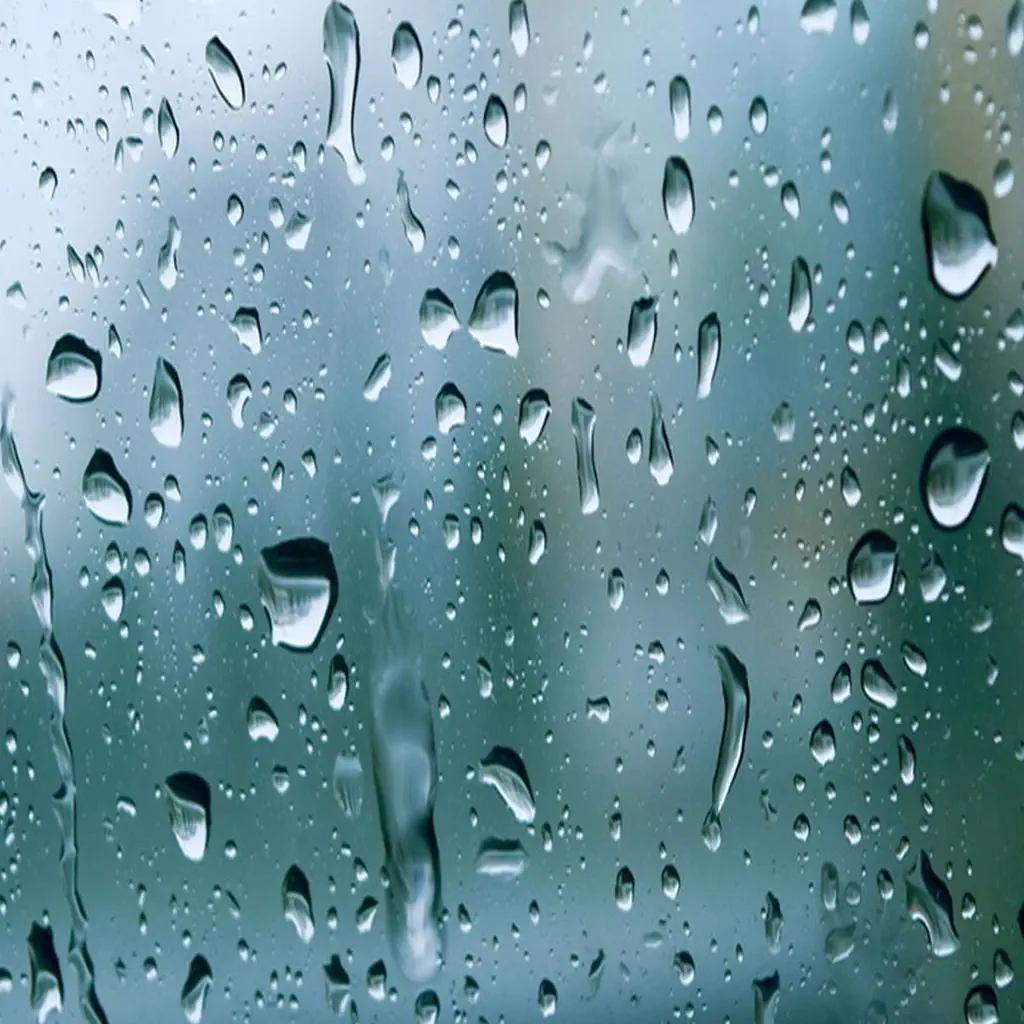 Rain Sounds
