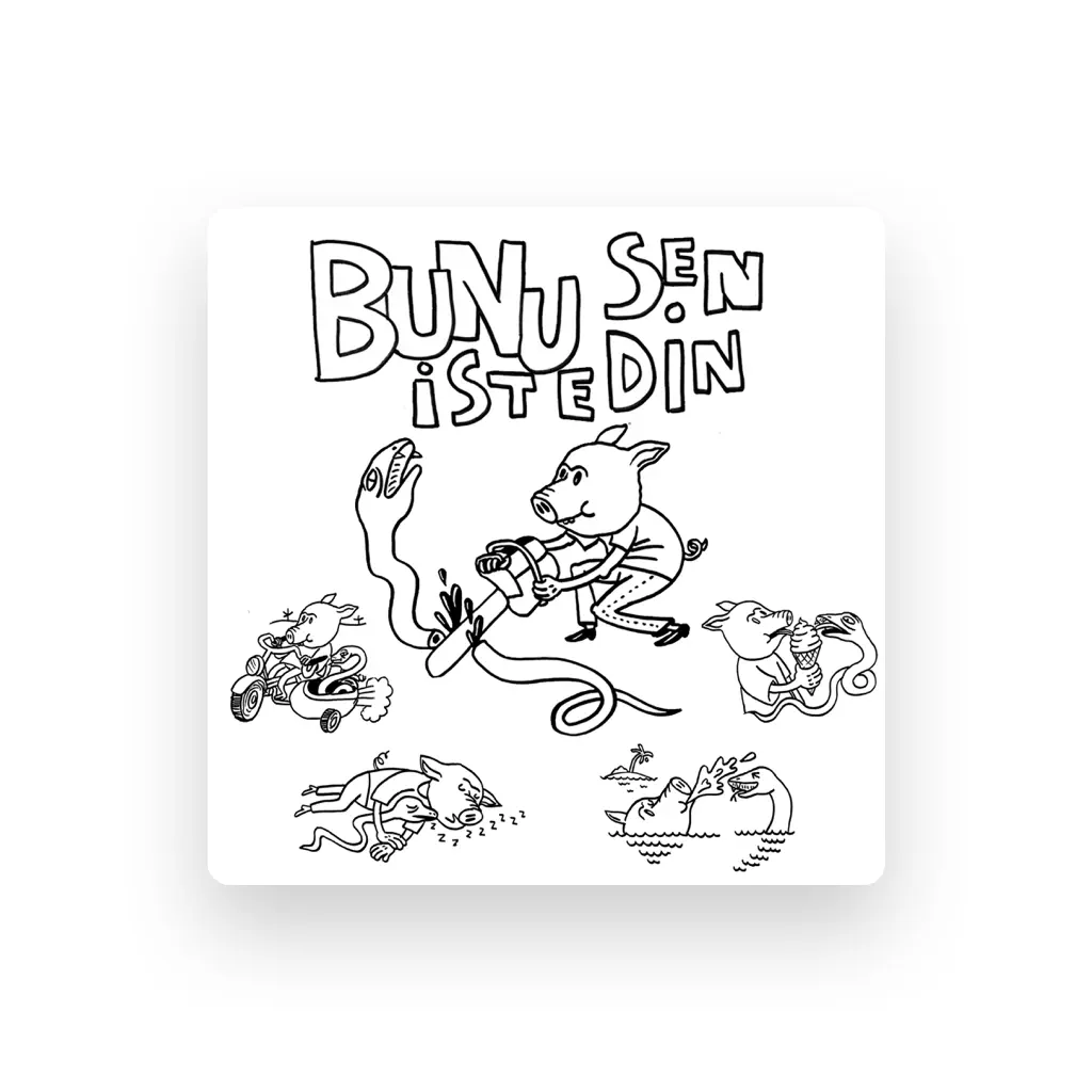 Bunu Sen İstedin