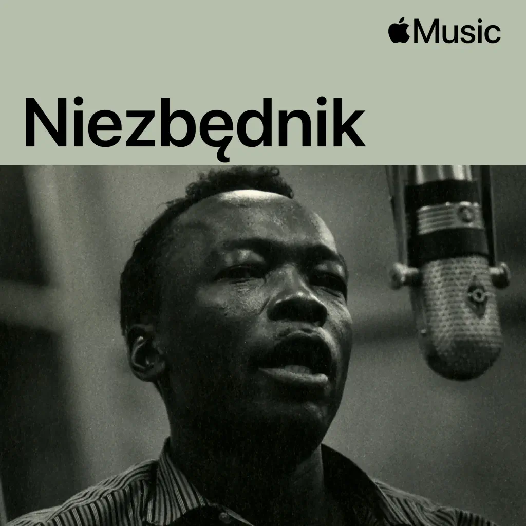 John Lee Hooker — niezbędnik