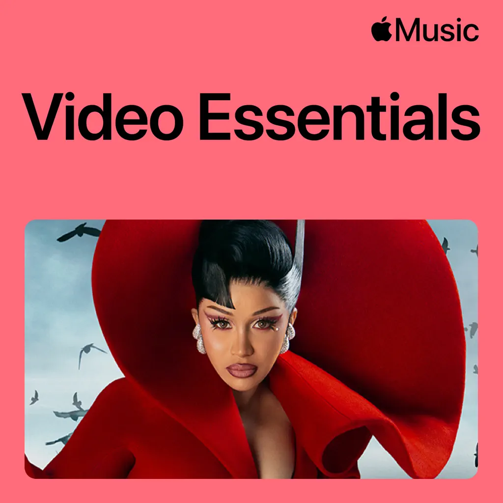 Cardi B Video Essentials