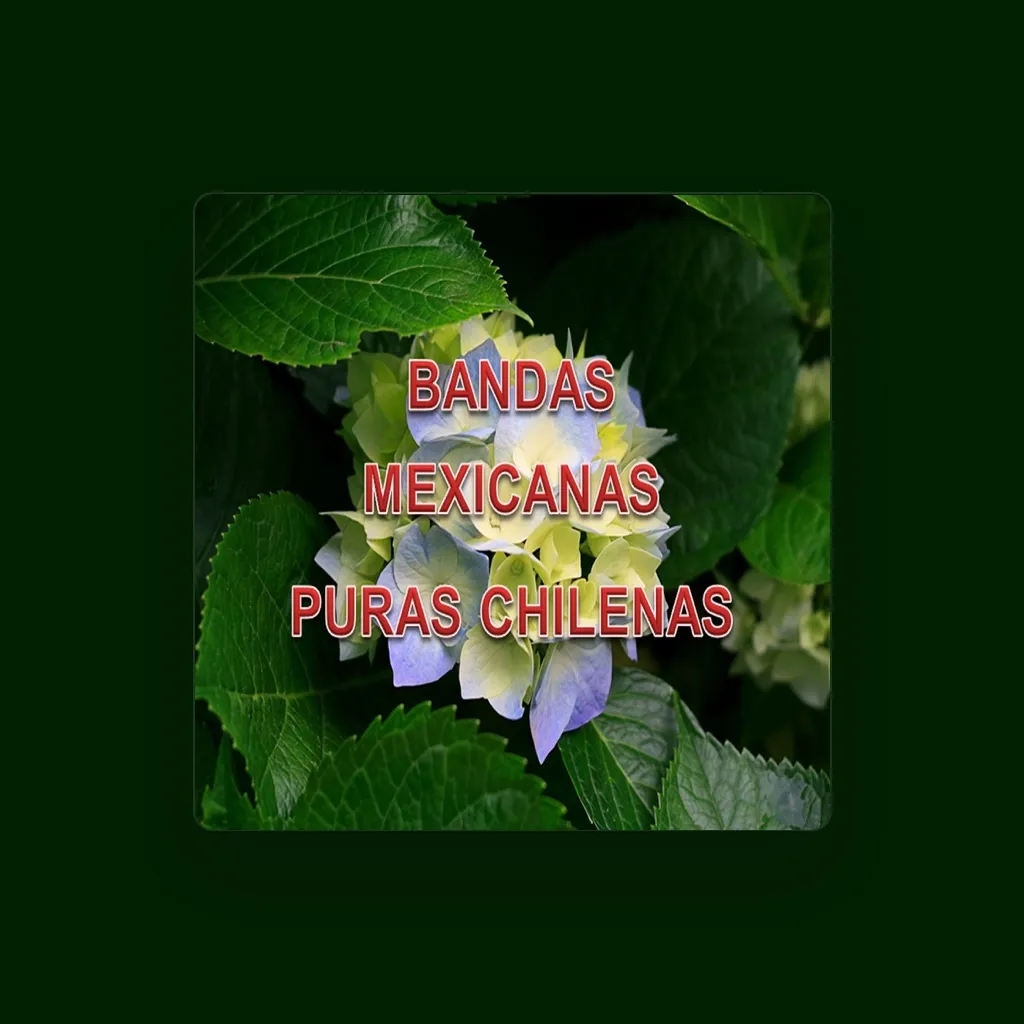 Puras Chilenas