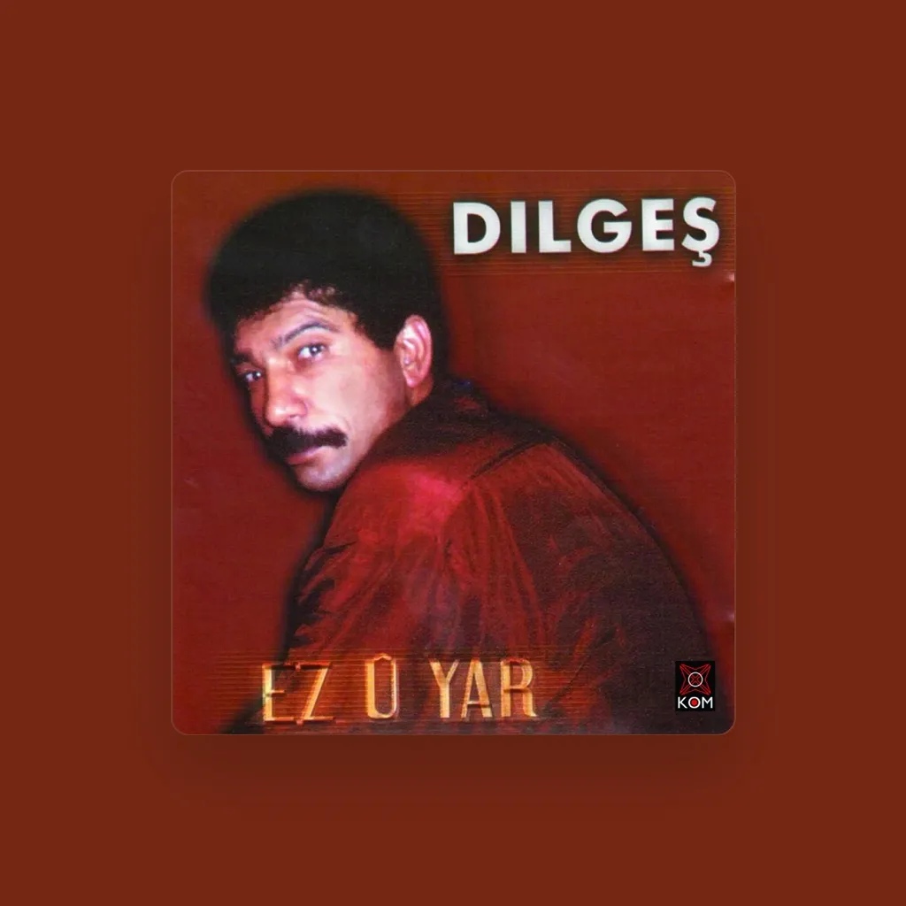 Dılgeş