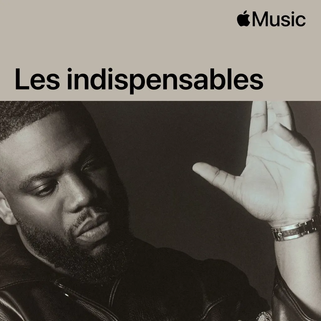 Dinos : les indispensables