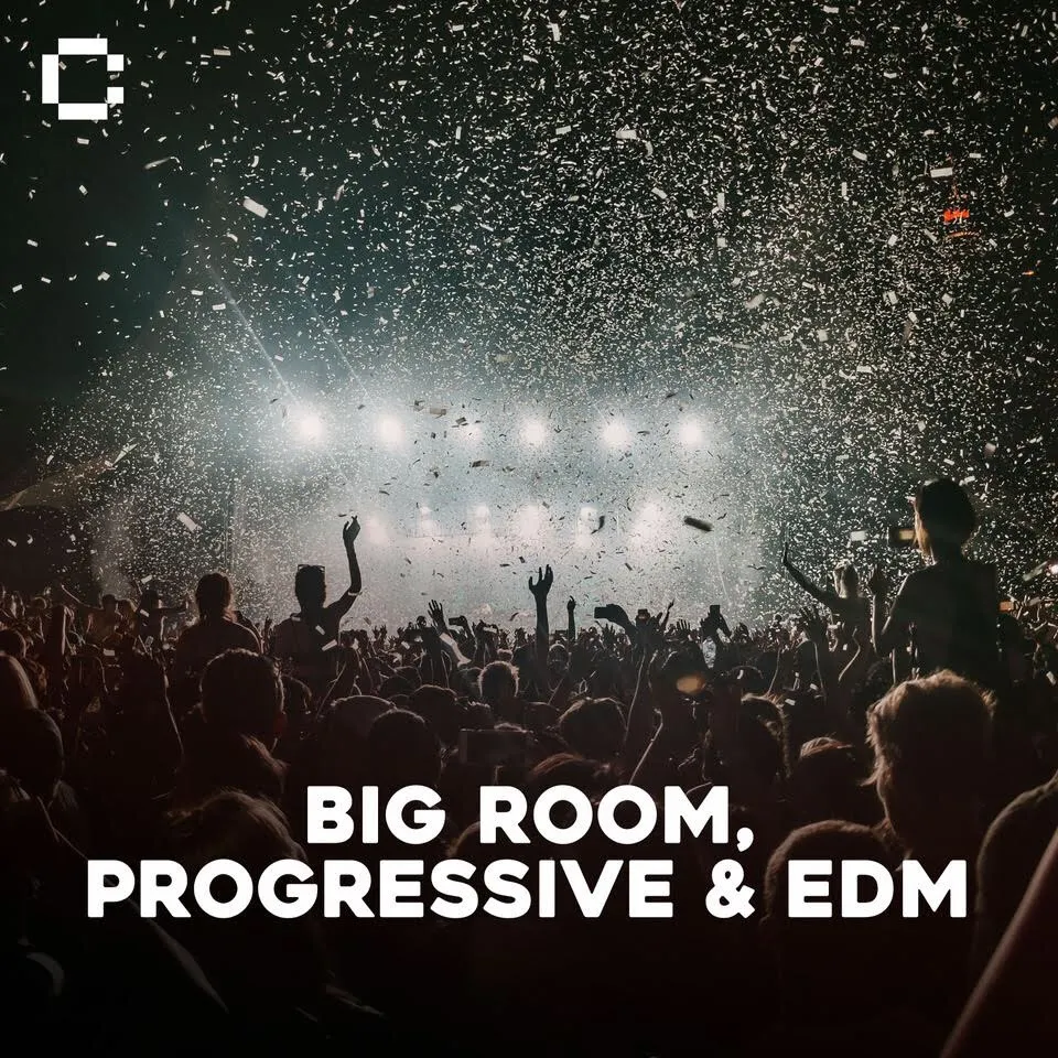 Big Room, Progressive & EDM