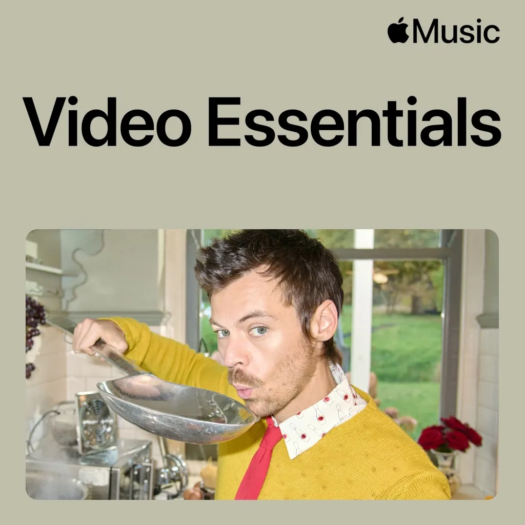 Harry Styles Video Essentials