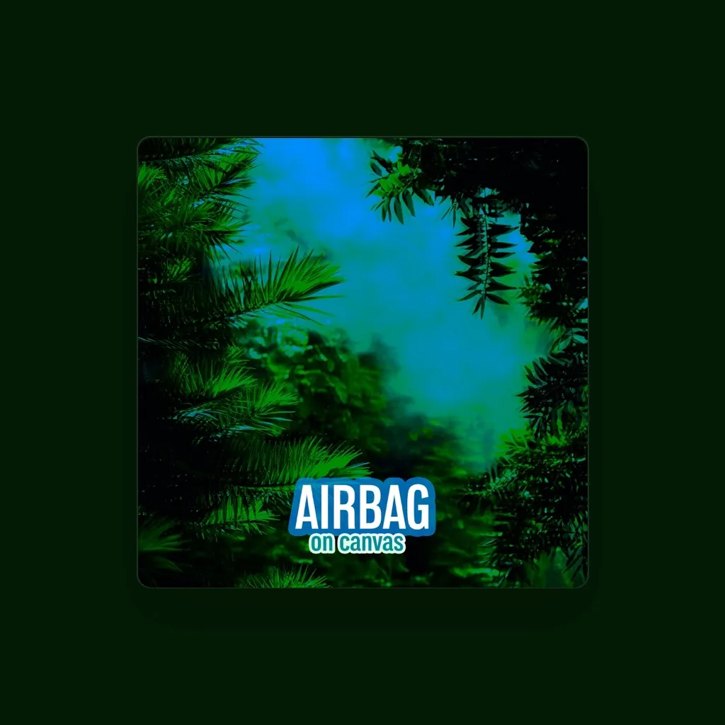 Airbag
