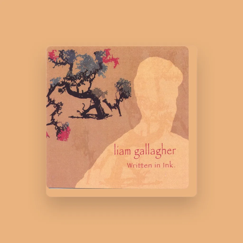 The Liam Gallagher