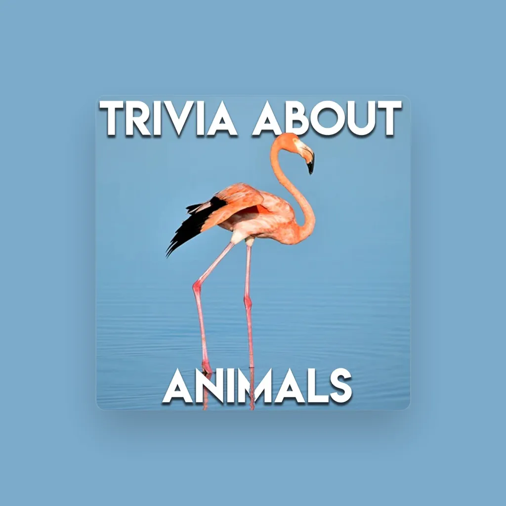 Trivia Questions