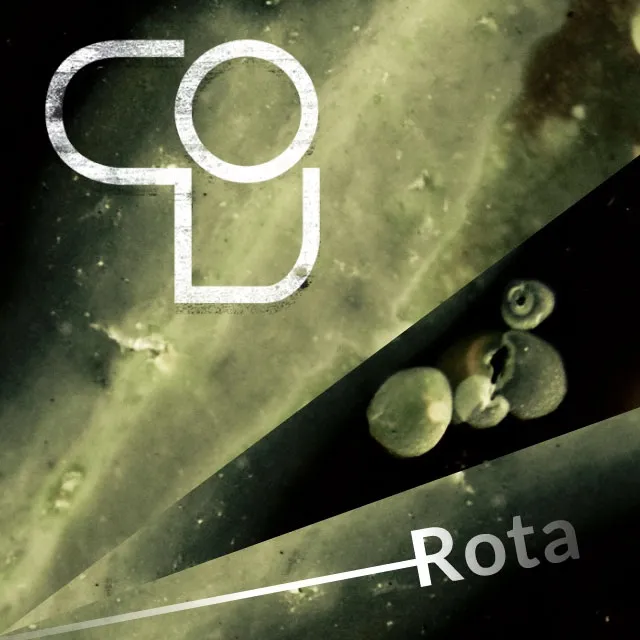 Rota