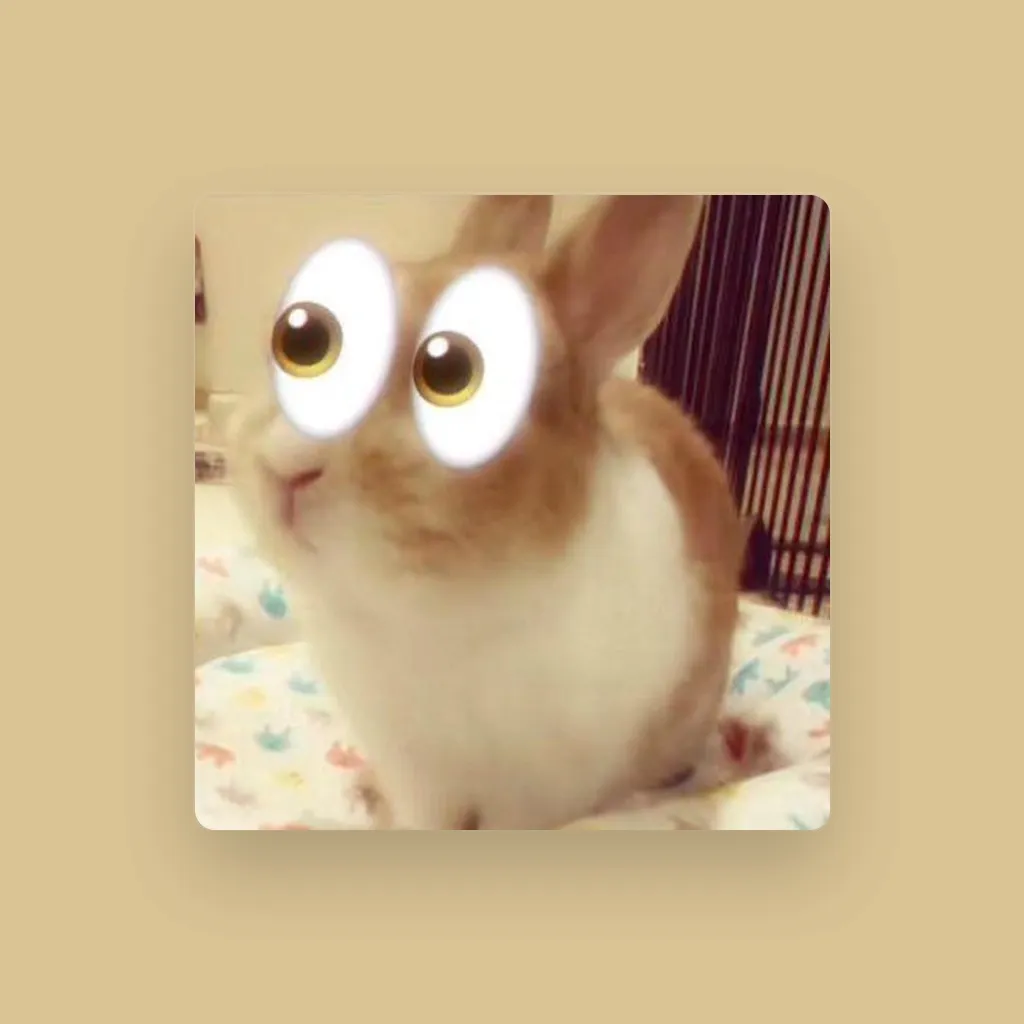 Snunt