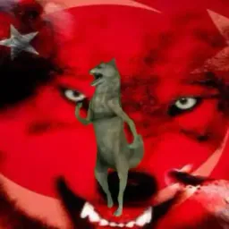 TÜRK MİLLİ FUTBOLCULARIN MEMLEKETLERİNİ VE DOĞUM TARİHLERİNİ BİL