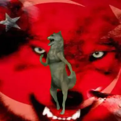 TÜRK MİLLİ FUTBOLCULARIN MEMLEKETLERİNİ VE DOĞUM TARİHLERİNİ BİL