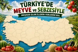 Meyve ve Sebzesiyle Meşhur Olan İllerin Yerlerini Bul