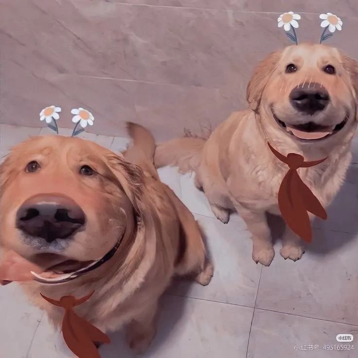 molysel bilgi yarışması