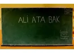 Türkçeyi ne kadar iyi biliyorsun ?