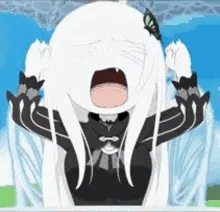The Echidna Files