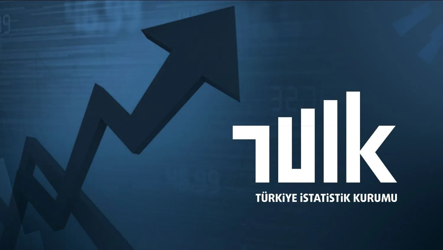 TÜİK Verilerine Göre ... Nedir?