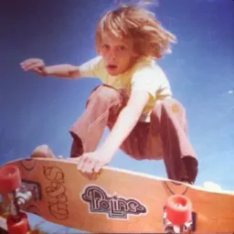 tony hawk