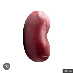bean