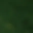 Sevgi Kızıılgeçit
