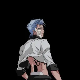 6.Grimmjow.6